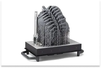 A precise anatomical model (chest) printed from SLA resin, next to a digital caliper symbolising dimensional control.